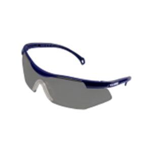 OCULOS PARATY INCOLOR